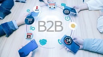 什么是b2b系统 b2b经销商管理系统